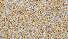 Koyun Arpa Kırması